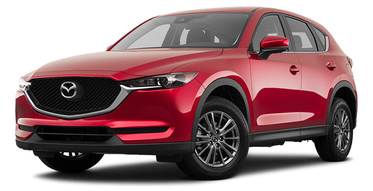 Automotive / Luxury Metal Polish